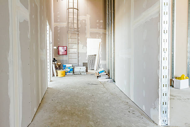Best Biohazard Mold Removal  in Kissee Mills, MO